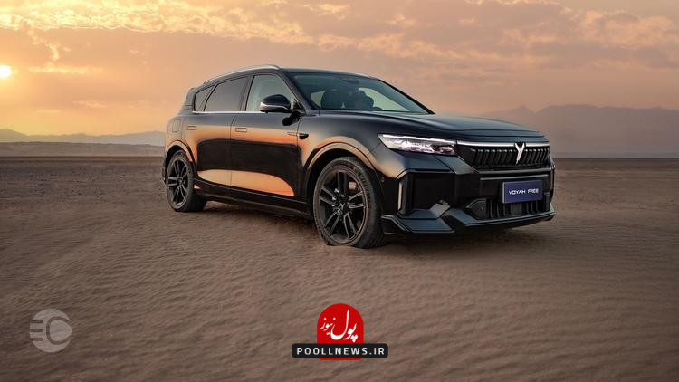 بررسی وویا فری