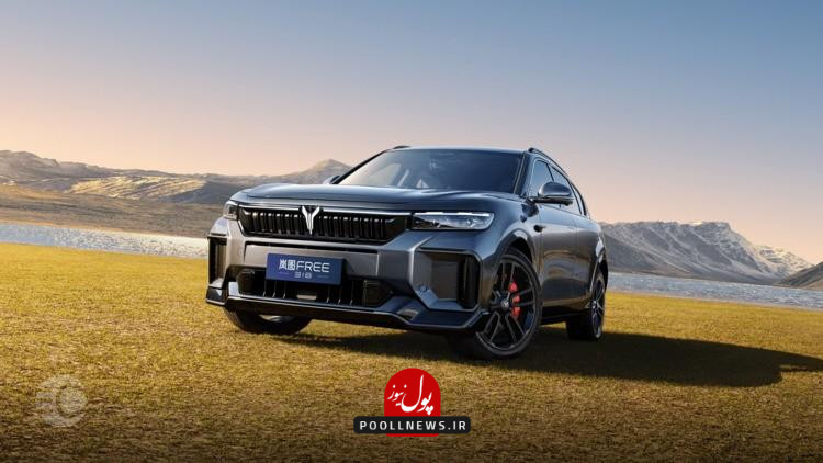 معرفی وویا فری