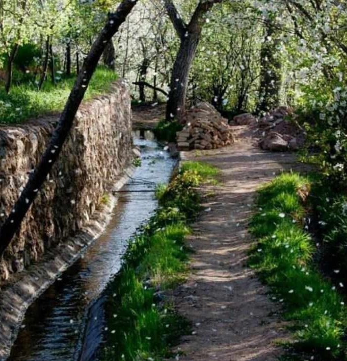 بوژان، بهشت فراموش شده نیشابور (+عکس)