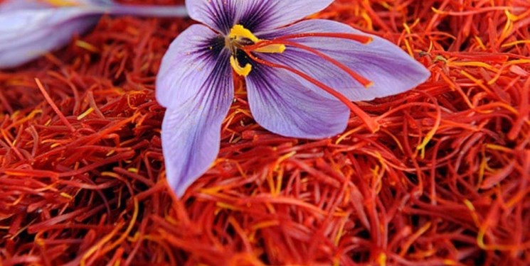 خبر خوش برای صنعت طلای سرخ ایران
