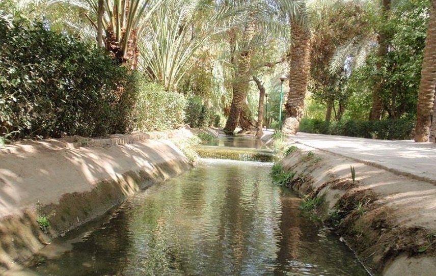 باغ گلشن طبس، اعجازی در دل کویر ایران (+عکس) باغ گلشن طبس، اعجازی در دل کویر ایران (+عکس)