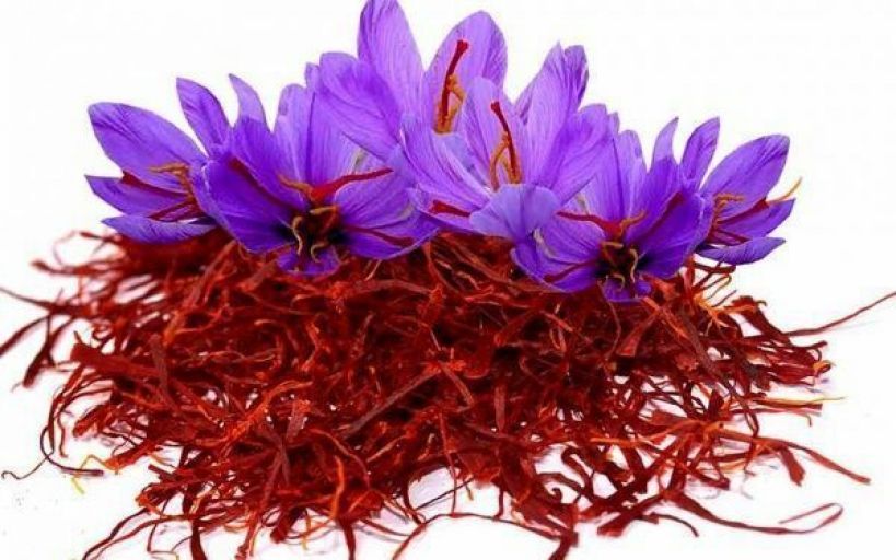 چگونه میتوان زعفران اصلی از تقلبی را تشخیص داد ؟ چگونه میتوان زعفران اصلی از تقلبی را تشخیص داد ؟