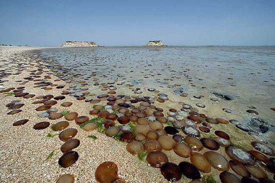 مکان های دیدنی ایران برای سفر های زمستانی (+عکس)