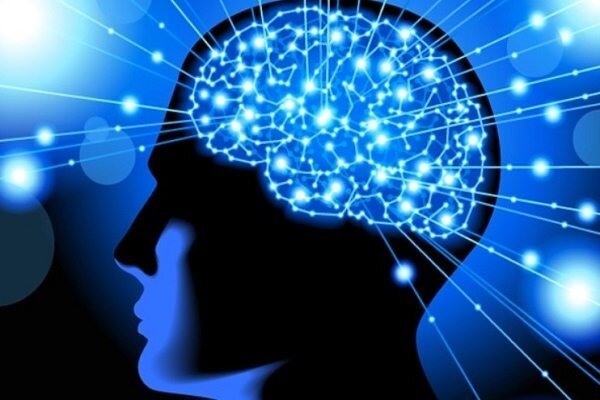 راه اندازی شتابدهنده حوزه علوم شناختی