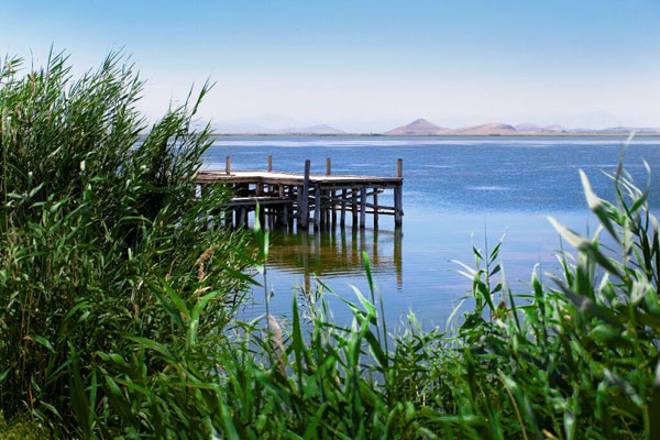 تالاب سولدوز نقده؛ پر آب و همچنان زیبا (+عکس)