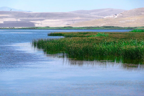 تالاب سولدوز نقده؛ پر آب و همچنان زیبا (+عکس)