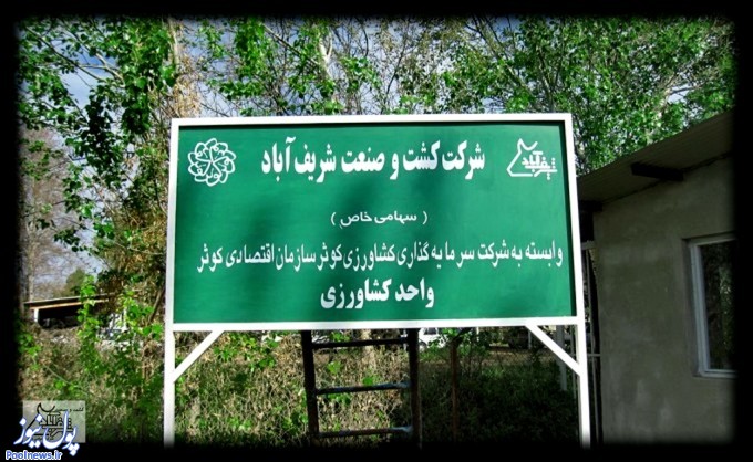 «زشریف» خود را اصلاح کرد