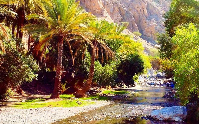 برترین ترندهای سفر لوکس سال ۲۰۲۰ را بشناسید برترین ترندهای سفر لوکس سال ۲۰۲۰ را بشناسید