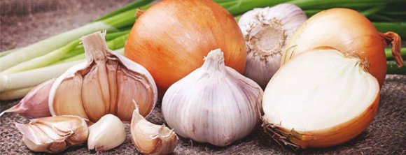 کدام گیاهان دارای اثرات قوی خنثی‌کننده سموم کبد هستند؟