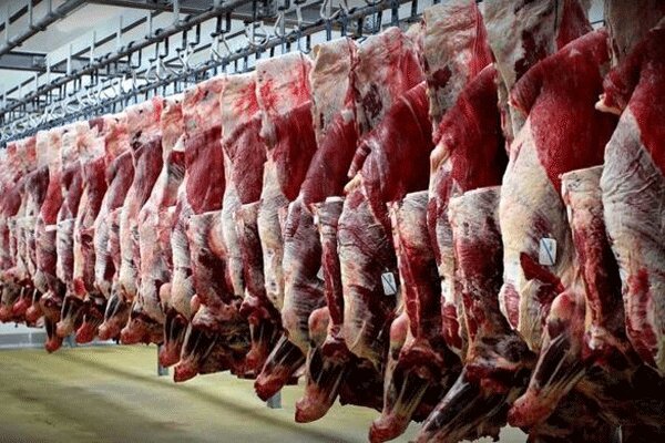 چرا گوشت قرمز در بازار گران شد؟