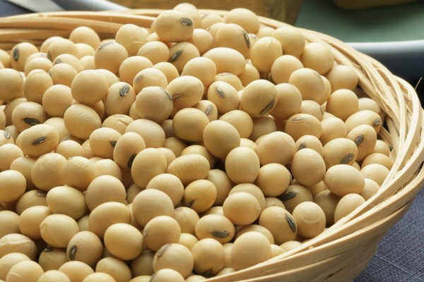 چین واردات سویا از برزیل را افزایش داد