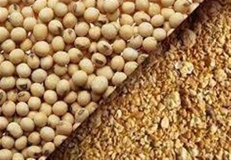 قیمت انواع کنجاله اعلام شد + جدول