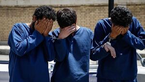 زنبورهای نقابدار در چنگ قانون