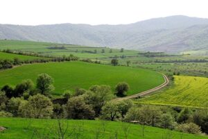 روسای حوزه قضایی مکلف به احصای دلایل عدم صدور اسناد تک برگ درباره اراضی دولتی هستند روسای حوزه قضایی مکلف به احصای دلایل عدم صدور اسناد تک برگ درباره اراضی دولتی هستند