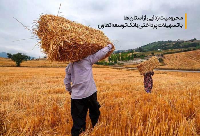 محرومیت زدایی از استان ها با وام پرداختی بانک توسعه تعاون