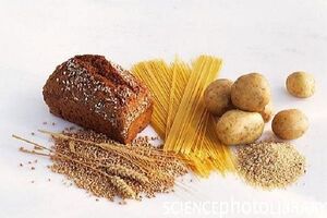 رژیم کم کربوهیدرات به کلیهها آسیب میرساند؟ رژیم کم کربوهیدرات به کلیهها آسیب میرساند؟