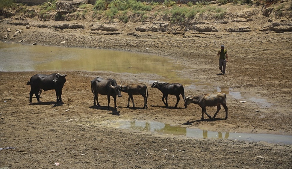 افزایش رهاسازی آب در سدهای گتوند، دز و کرخه برای رفع مشکل کم آبی خوزستان افزایش رهاسازی آب در سدهای گتوند، دز و کرخه برای رفع مشکل کم آبی خوزستان