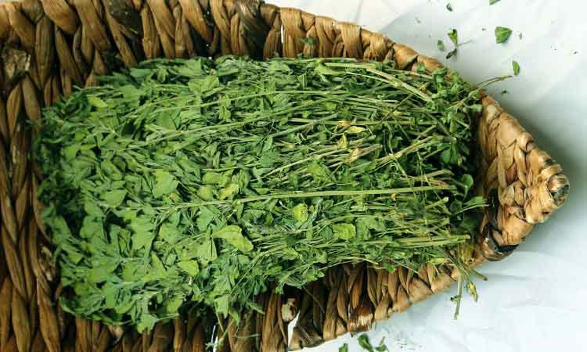 ۱۲ هزار تن یونجه در راه ایران ۱۲ هزار تن یونجه در راه ایران