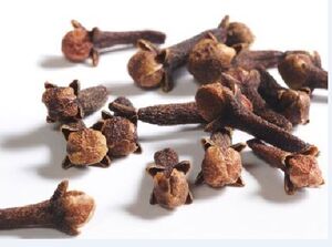 تاثیر عصاره میخک در مهار باکتری‌ عفونت دندان