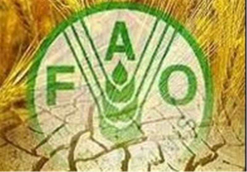 افزایش قیمت جهانی مواد غذایی به بالاترین رقم طی ۱۰ ساله گذشته