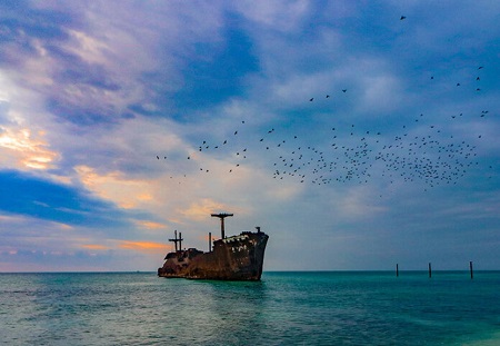 تصاویری زیبا از خلیج فارس ایران تصاویری زیبا از خلیج فارس ایران