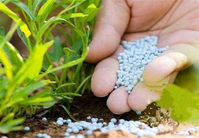 بنیاد ملی گندمکاران: کشاورزان به سمت کشاورزی قراردادی بروند