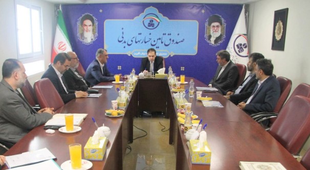 شبکه های فروش پرچمداران پیشرو شرکت هستند/ مشتری مداری از اصول بنیادی کسب و کار بیمه است