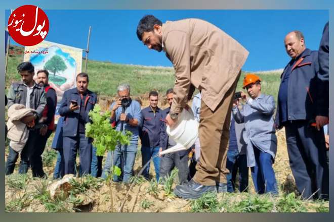 عملیات جنگل کاری 400 هکتاری مس سونگون در ارسباران آغاز شد