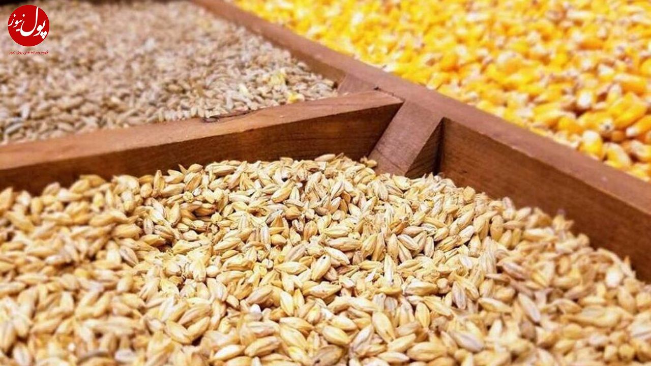 وابستگی به واردات نهاده های دامی با جایگزینی علوفه کم آب کاهش می یابد