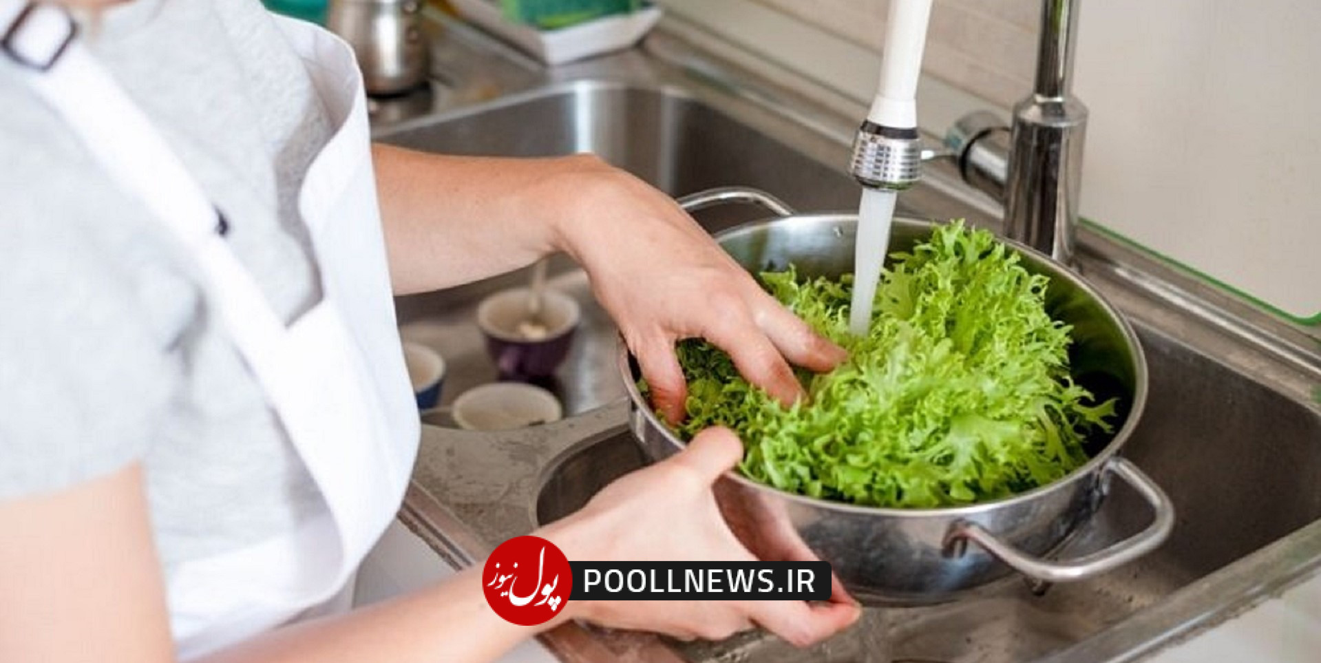 شستن کاهو - ضد عفونی کردن سبزی و میوه