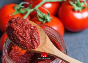 جلوگیری از کپک زدن رب