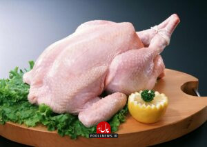 گوشت مرغ