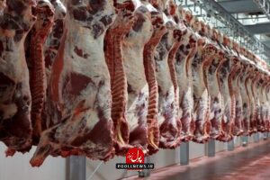 گوشت قرمز