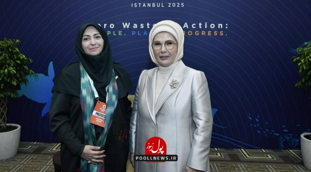 شینا انصاری