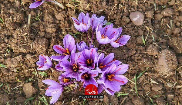 IMG_20251101_121025_657