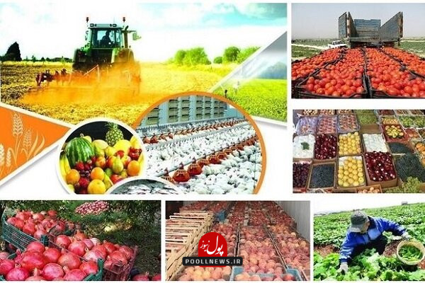 محصول کشاورزی