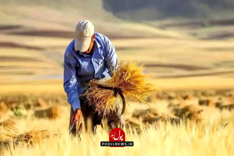 گندم_کاران